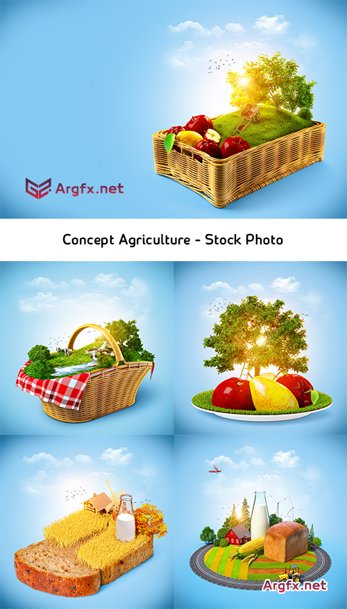 Concept. Agriculture #1 - Stock Photo
