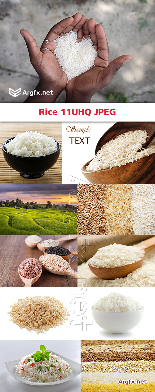 Rice 11UHQ JPEG