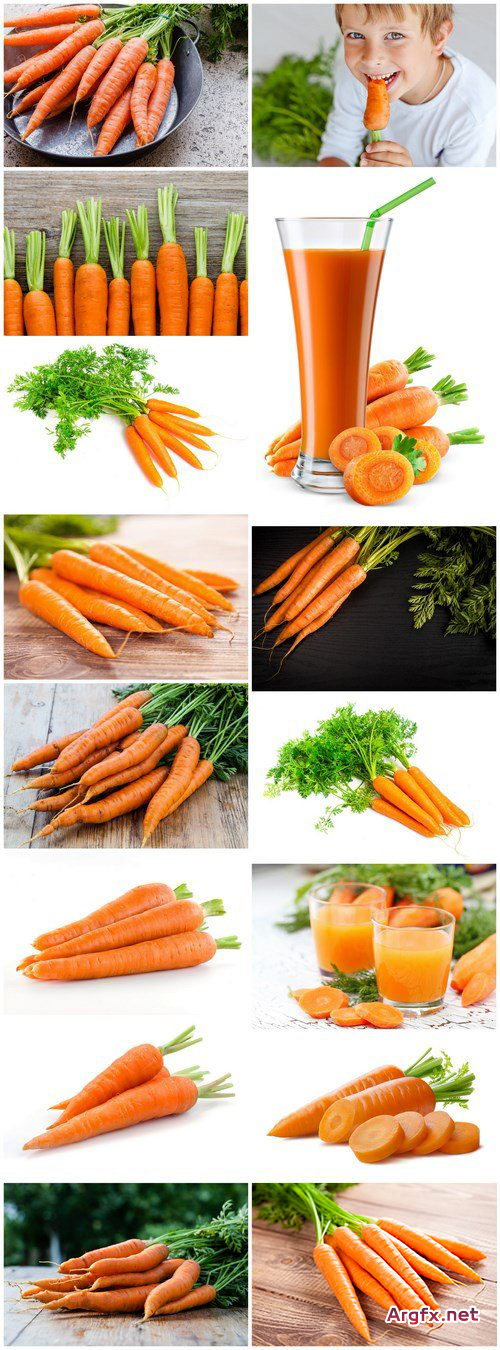 Bright Juicy Carrot - 15 HQ Images