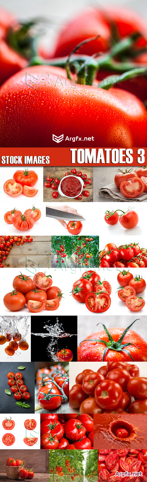  Stock Photos - Tomatoes 3, 25xJPG