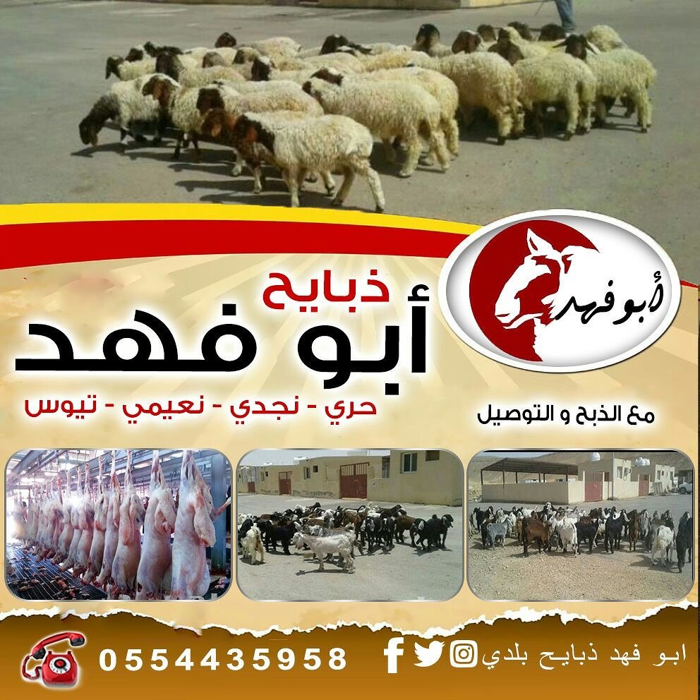 نوفر جميع الذبايح في الرياض مع الذبح والتوصيل 0554435958 ذبايح حري للبيع بالرياض P_600flzpg0